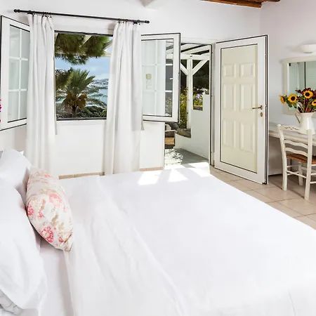 Rhenia Mykonos 투를로스