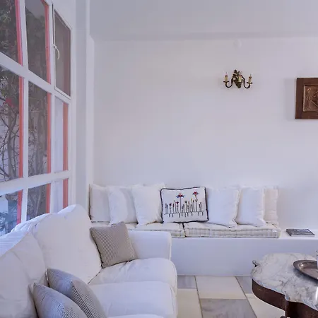 호텔 Rhenia Mykonos