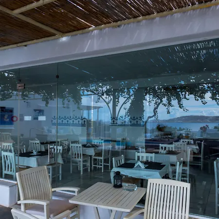 호텔 Rhenia Mykonos 투를로스