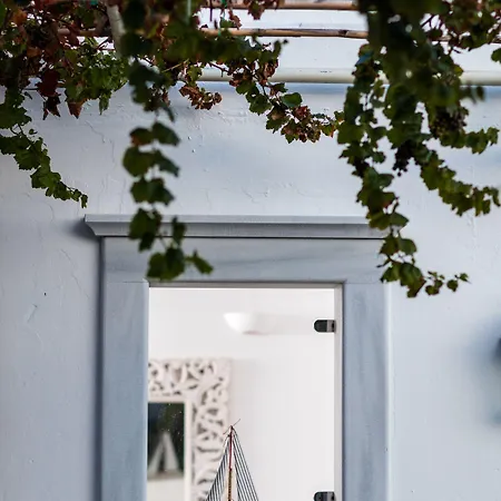 호텔 Rhenia Mykonos