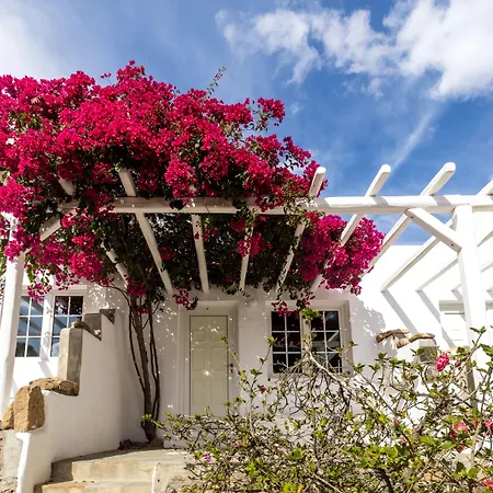 Rhenia Mykonos 4* 투를로스