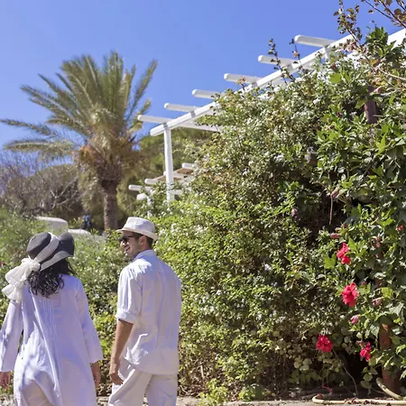 호텔 Rhenia Mykonos