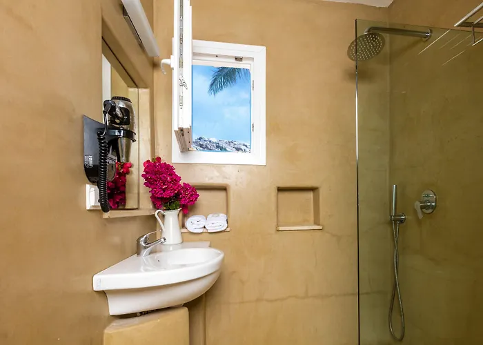 מלון Rhenia Mykonos טורלוס