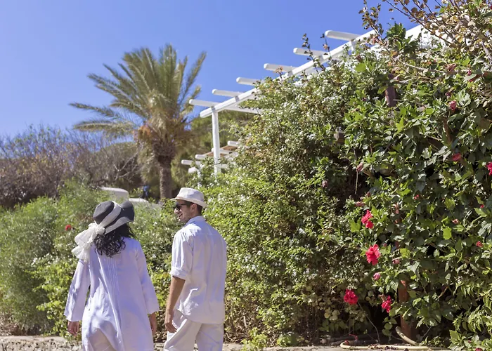 מלון Rhenia Mykonos