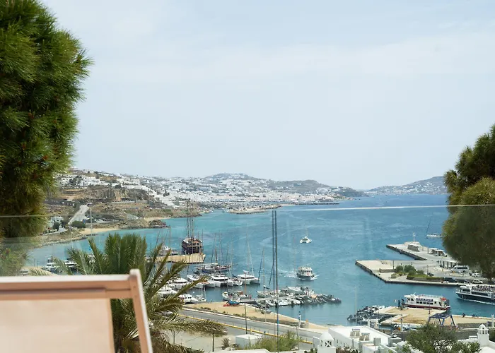 Hotel Rhenia Mykonos 4*