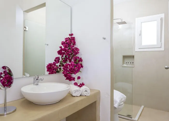 Rhenia Mykonos Hotel