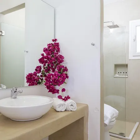 Rhenia Mykonos Hotel