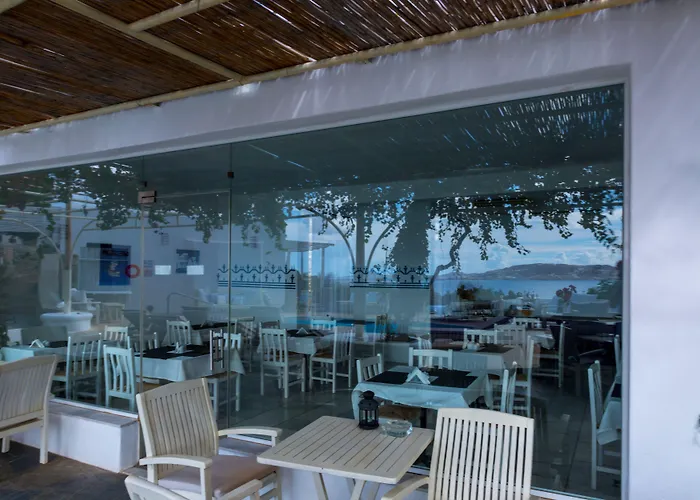 Ξενοδοχείο Rhenia Mykonos Τούρλος