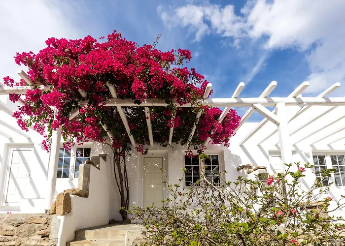 Rhenia Mykonos 4* Τούρλος